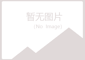 安阳县初夏水泥有限公司